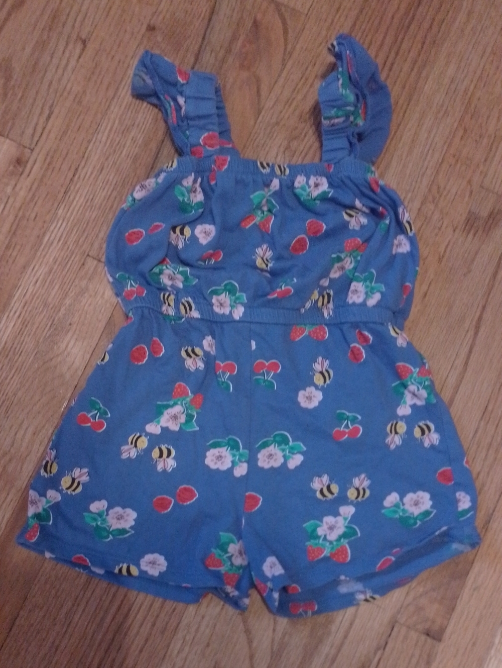 Old Navy Blue Floral, Bee & Cherry Print Romper